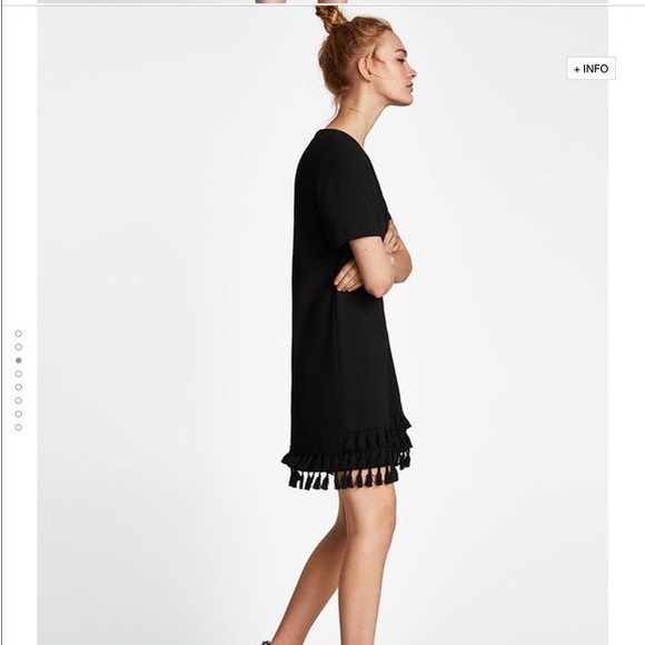 ZARA SHIFT tassel fringed dress - Picture 9 of 12